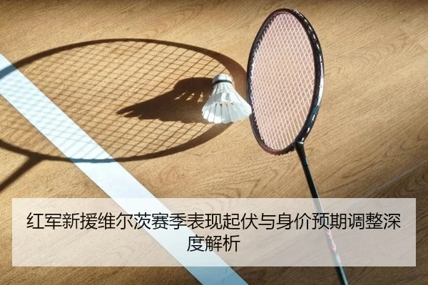 红军新援维尔茨赛季表现起伏与身价预期调整深度解析